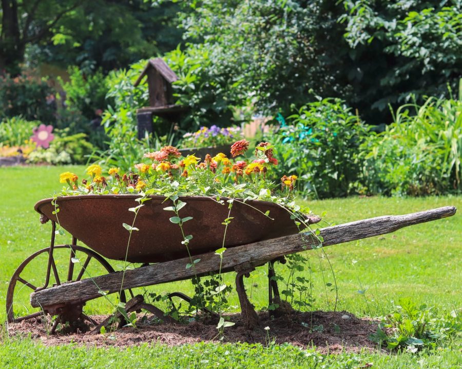 tendances en-matiere-de-jardinage